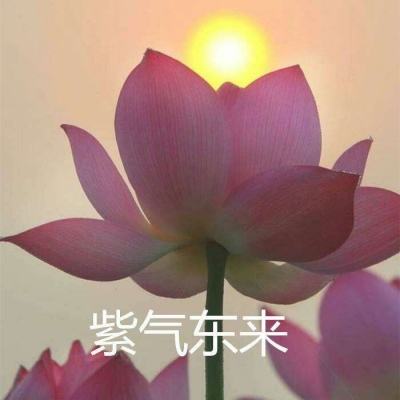 热血武道会手游正版下载